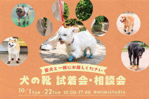 10月 犬の靴 試着会・相談会